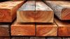 Commercial Timber Wood...
