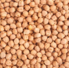 100%Top-Quality Chickpeas For Exporters