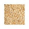 High-protein Barley Ma...