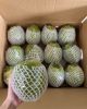 Fresh young coconuts i...