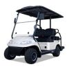 Professional Golf Cart...