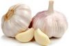 White Garlic Bulbs &At...