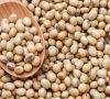 &acirc;��PREMIUM QUALITY OF "SOYABEAN" FROM BENIN AVAILABLE