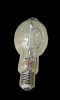 BULBS