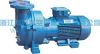 2BV(SKA) liquid ring v...