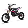2026 Ultra Bee E-moto ...