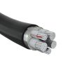 XLPE Insulated Armored...