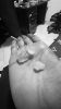 Rough Diamonds