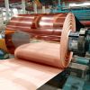 Electrolytic Copper Fo...