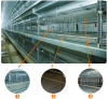 H type broiler battery...
