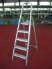 Aluminum ladder