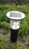 Solar Lawn Light