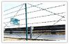 Barbed Iron Wire