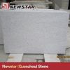 Newstar polished pearl...