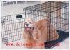 pet cage
