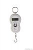 10-40KG PL hanging scales