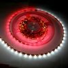 Flex tape SMD- LED Str...