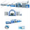 PP/HDPE Woven Bags Mak...