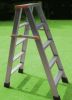 Aluminum ladder