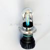 HID Xenon bulbs