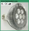 LED PAR30
