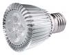 LED PAR spot lamp