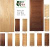 Flush Wooden Doors