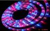 led rope lamp