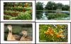 self-adhesive photo paper