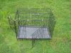 dog cage