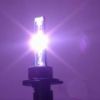 xenon bulb