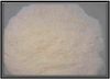 Silica Fume Cement