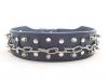 dog collar