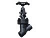 Globe Valves