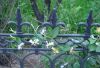 iron works, wrought iron