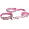 dog fashion collar