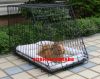 dog cages