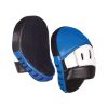 Boxing Focus Target Mitts