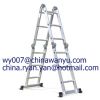 multi-purpose ladder (...