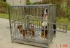 Stainless steel dog ca...