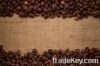 Arabica Coffee