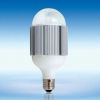 LED Light Bulb