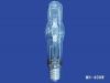 metal halide lamp