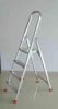Aluminum Ladder