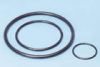 o ring