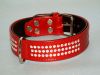 Leather Collars