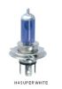 Auto Halogen Bulb H4