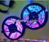 3528 RGB LED decoratio...
