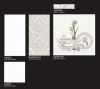 Glazed wall tile, glaz...