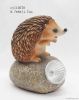 Resin Hedgehog With So...
